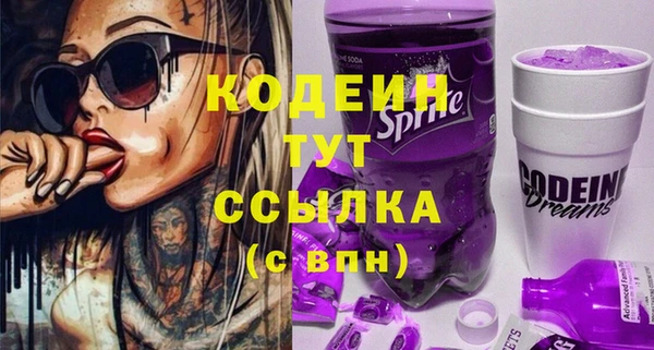 крисы Корсаков