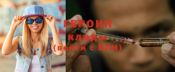 крисы Корсаков