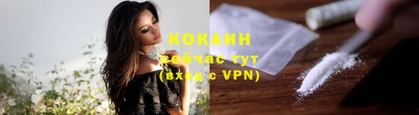 крисы Корсаков