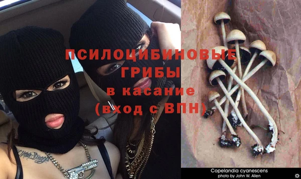 MDMA Краснотурьинск