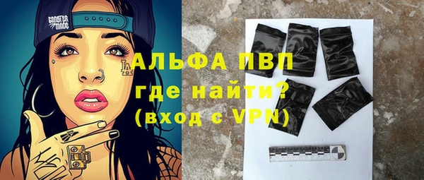 крисы Корсаков