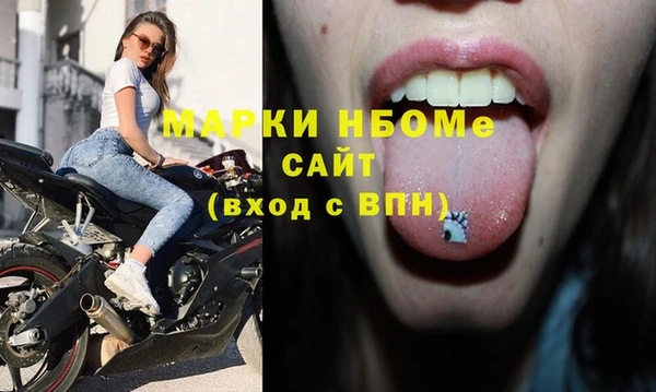 крисы Корсаков