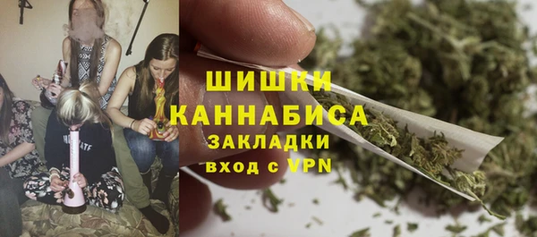 крисы Корсаков