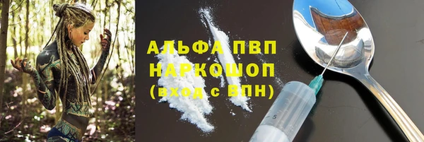 прущие грибы Богданович