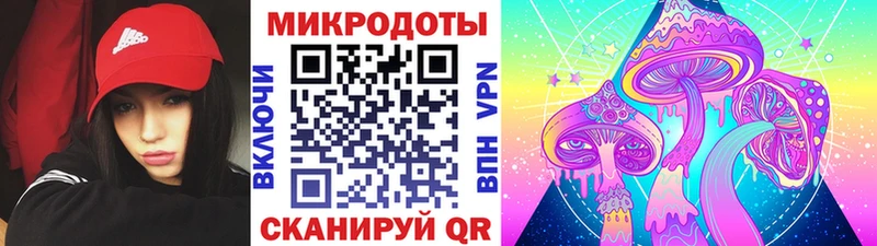 Псилоцибиновые грибы Psilocybine cubensis  что такое наркотик  Палласовка 